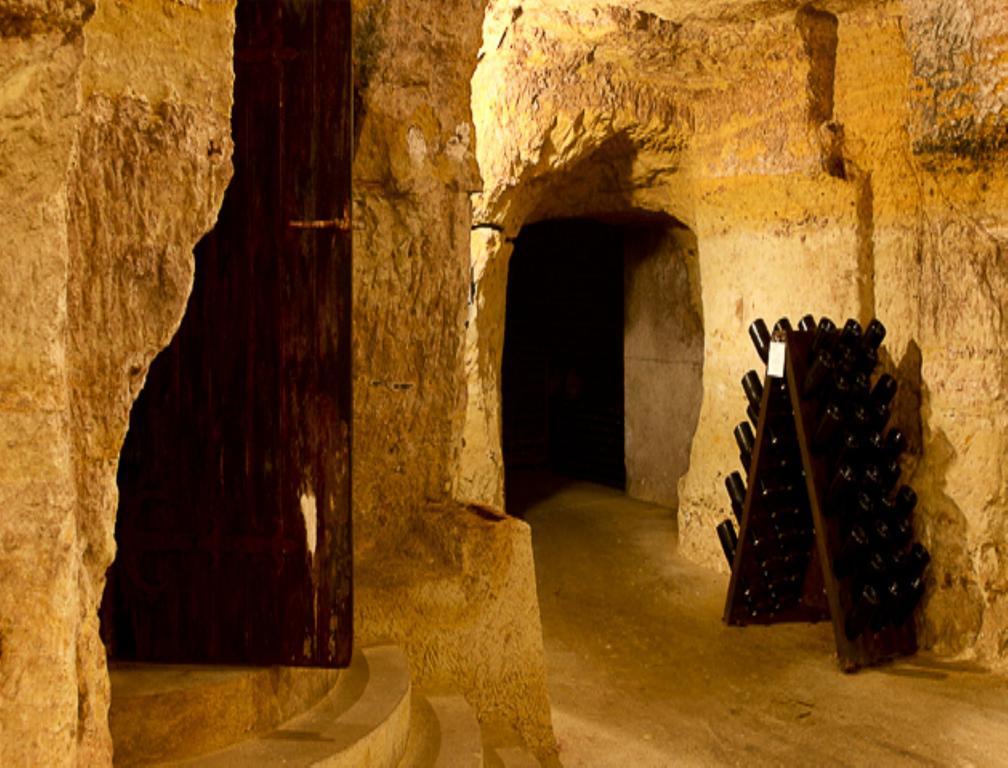 Hotel Les Hautes Roches Rochecorbon Kültér fotó